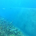 GOPR0584