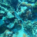 GOPR0586