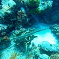 GOPR0587