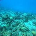 GOPR0593