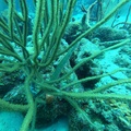 GOPR0596