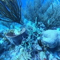 GOPR0618