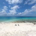 GOPR0627