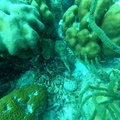GOPR0644