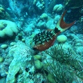 GOPR0648