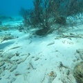 GOPR0665