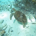 GOPR0668