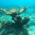 GOPR0750