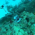GOPR0753