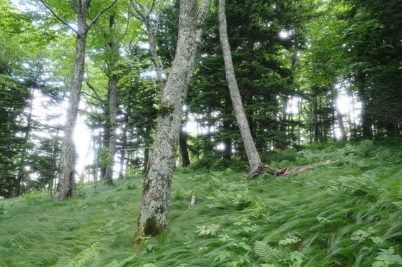 R0000240.JPG