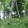 R0000240.JPG