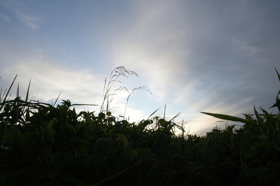 R0000116.JPG