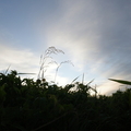 R0000116.JPG