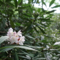 R0000039.JPG